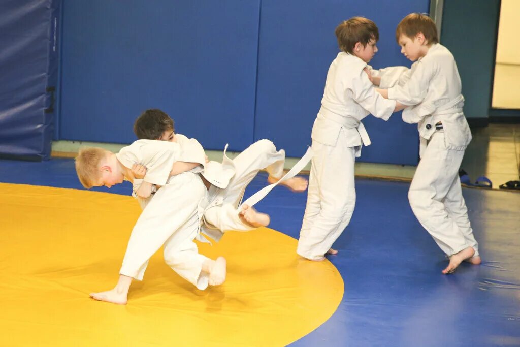 музыкальная школа фрунзенского района бухарестская 35. придворный манеж. зал футбольный пушкин. сдюсшор фрунзенского района. спортивная школа 1 санкт петербург.