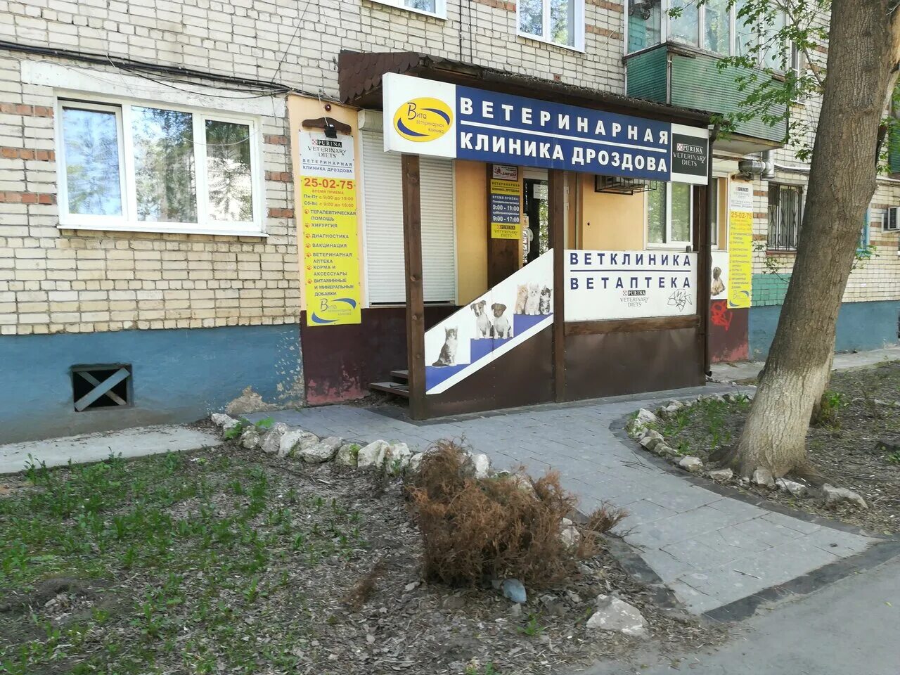 ветеринарка тольятти. ветлечебница барс тольятти. ветеринарная клиника тольятти ул громовой. ветклиника свердлова 24а. ветеринарка тольятти.