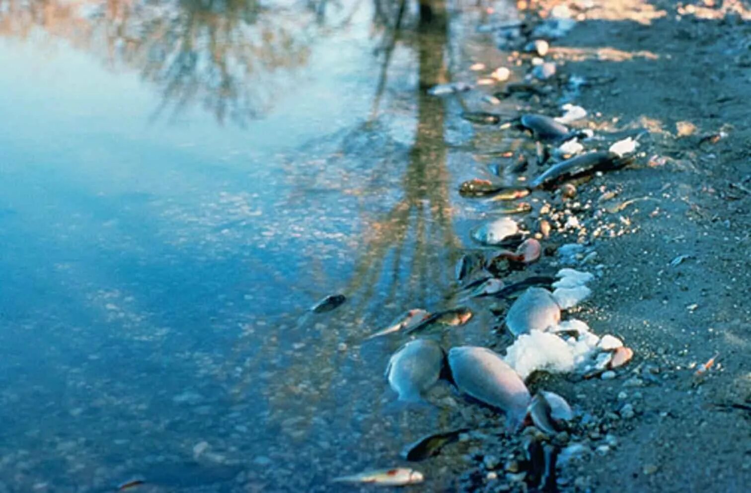 Окружение водой. Загрязнение воды. Загрязнение водоемов. Загрязнение природных вод. Экология воды.