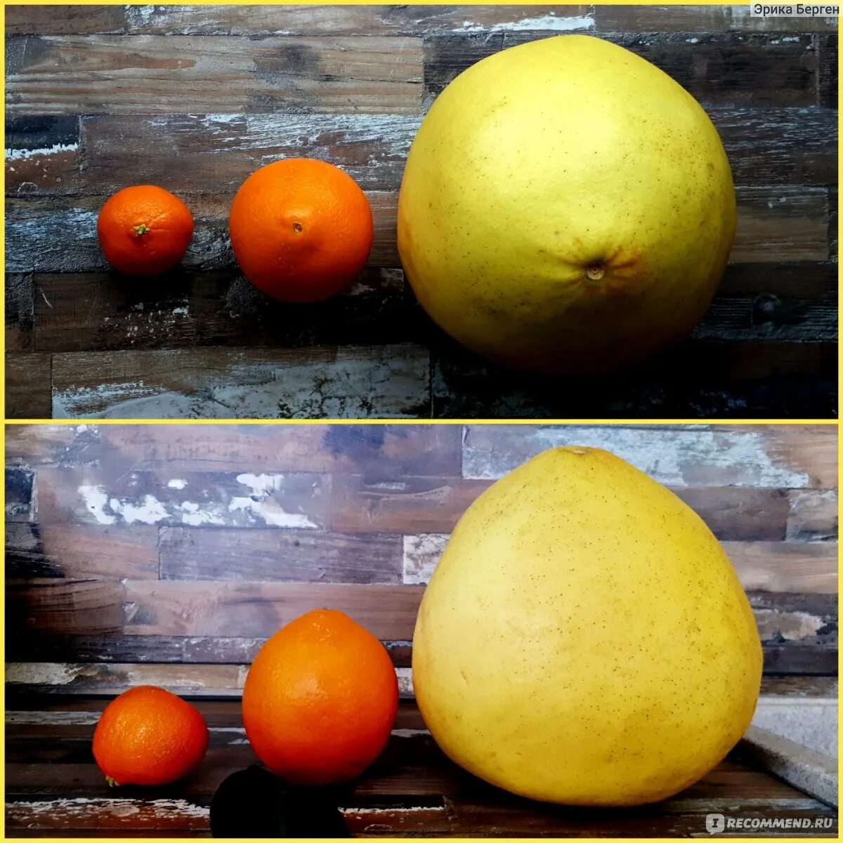 Помело фрукт спелый. Помело фрукт размер. Помело размер. Спелое помело. Как выбрать спелый помело в магазине