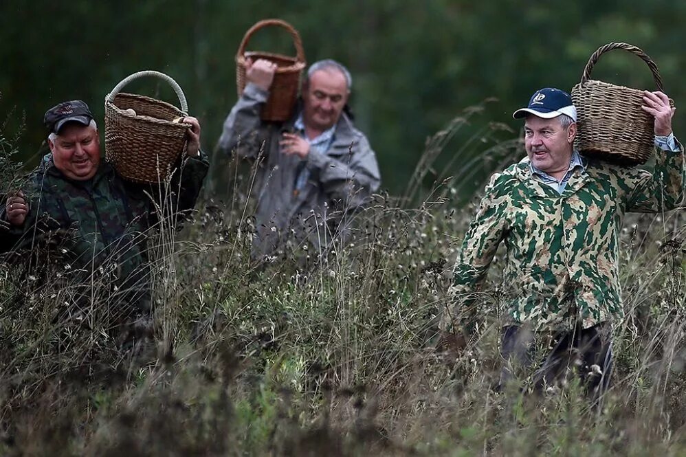 Сбор помощи. Урожайность подсолнечника в россии по регионам. Сбор регион. Производство пшеницы в россии карта. Курортный сбор налог.