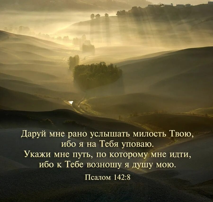 Цитаты из библии. Стихи из библии. стихи из псалмов. псалмы из библии. псалмы цитаты.