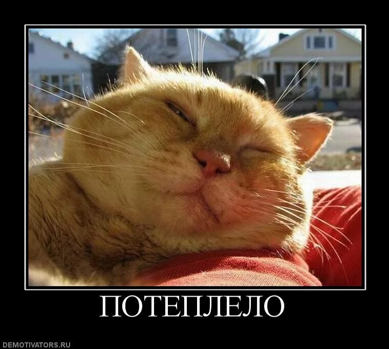 Потеплевший прицепивший примириться