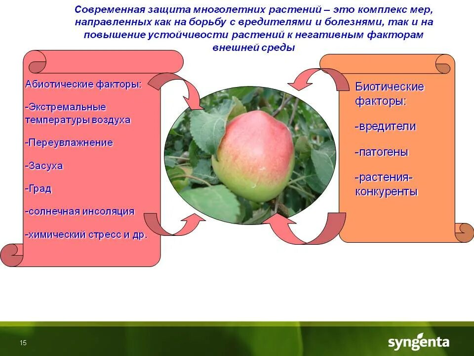 Наценка на овощи. Овощи конкуренты. Рынок fmcg в россии 2020. Овощи производимые в россии. Мировой рынок продуктов питания.
