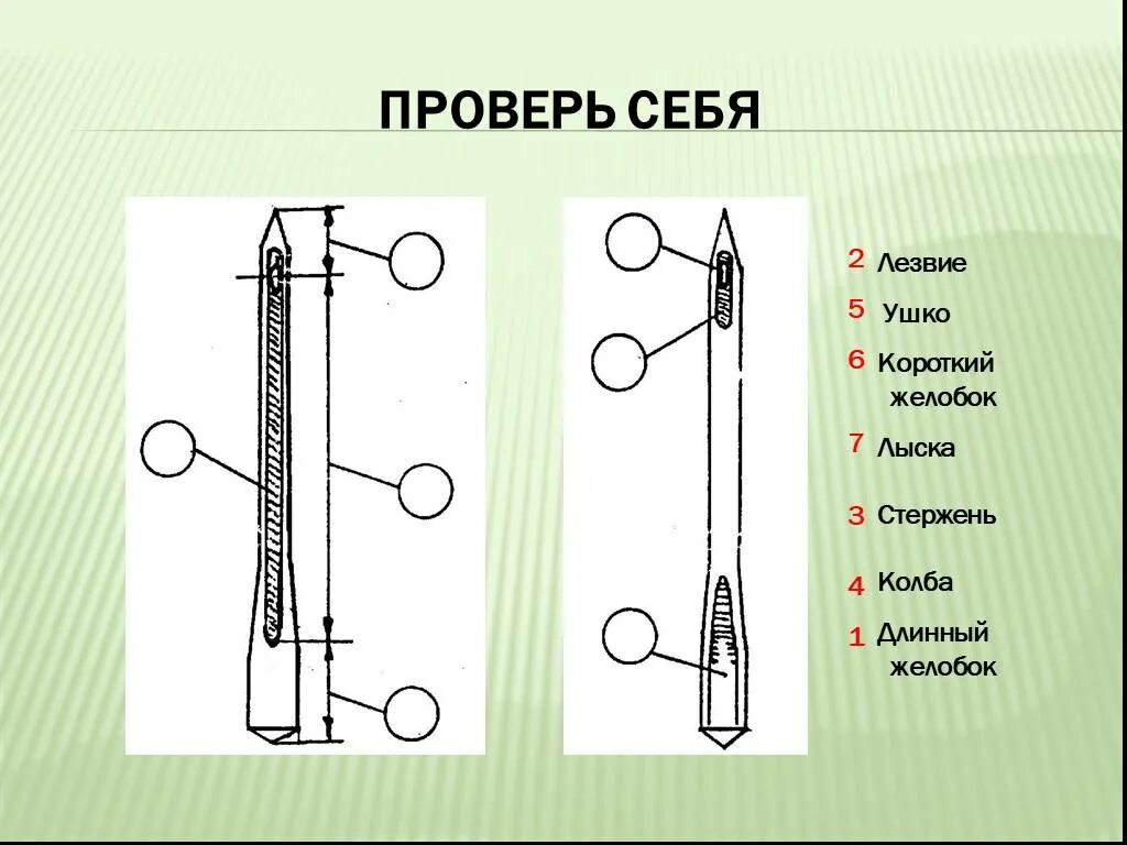 Длинный желобок иглы. Строение машинной иглы. Стержень машинной иглы. Строение швейной иглы. Желобок на машинной игле.