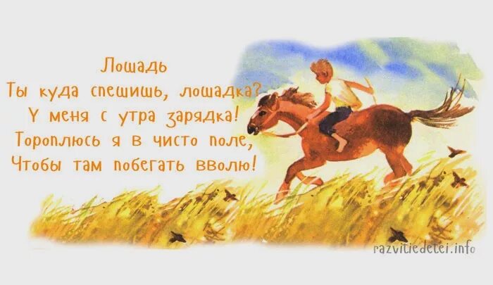 6 где конь. Детские стихи про лошадку. Стихи про лошадь для детей короткие. Стих про лошадь для детей. О лошадях стихи детские.