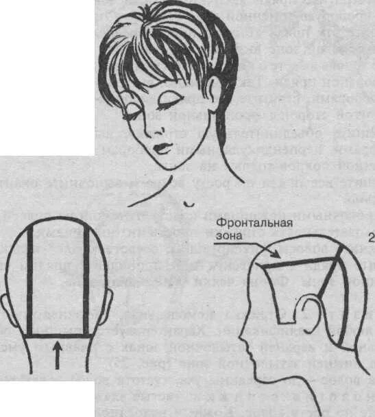 Зона затылка. Схема стрижки затылочной зоны Каскад. Теменная зона схема. Деление волосяного Покрова головы на проборы. Теменная зона головы.