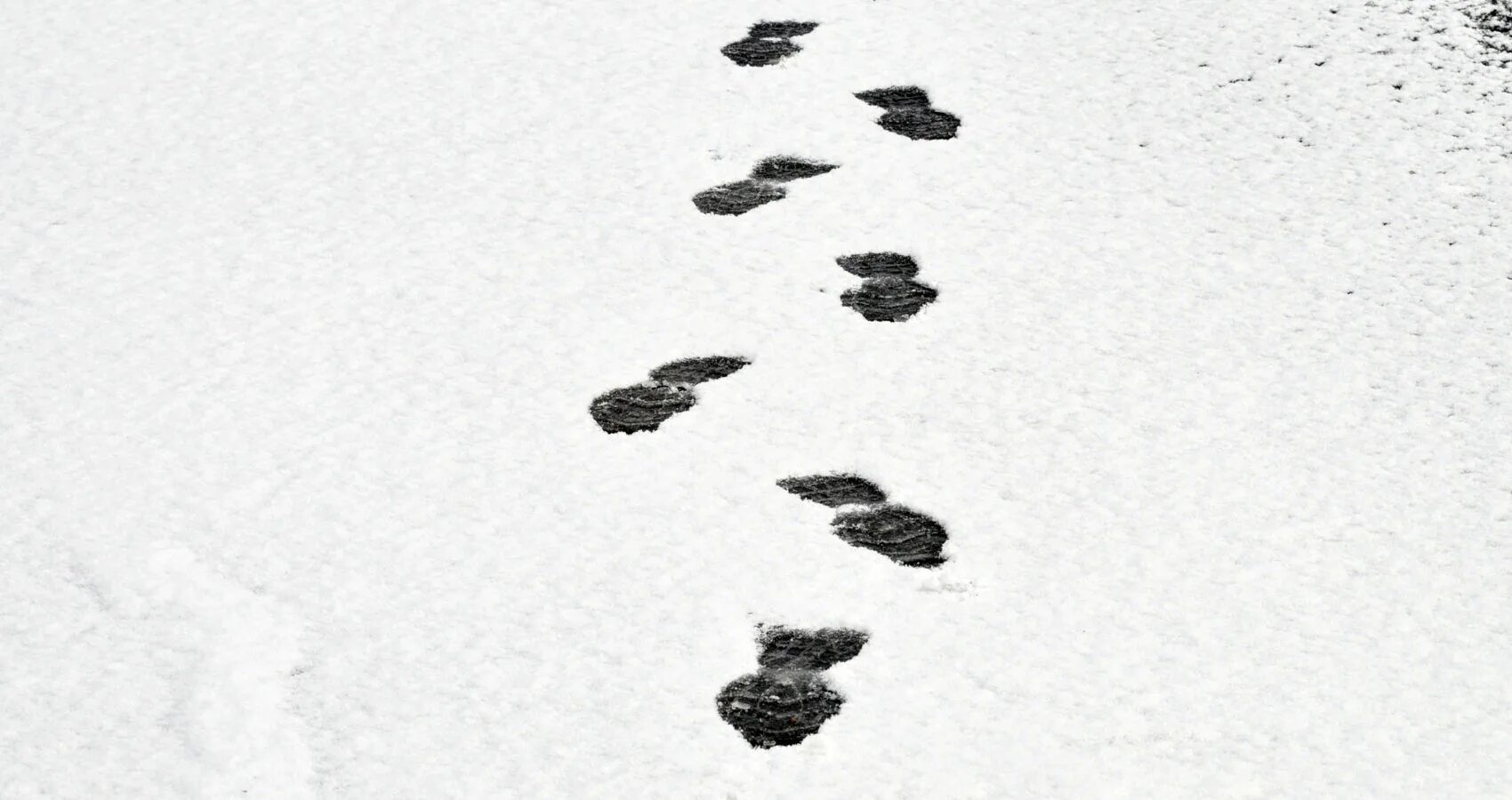 Включи следы. Следы на снегу. Следы человека на снегу. Дорожка следов на снегу. Следы в сугробе.