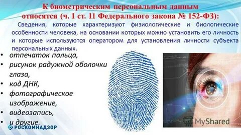 Биометрические персональные данные примеры
