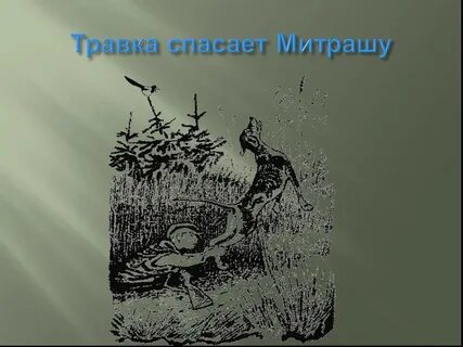 Кладовая солнца травка