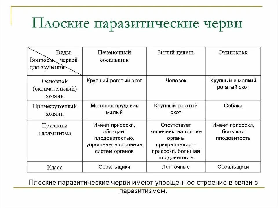 Лабораторная работа по биологии паразитические плоские черви