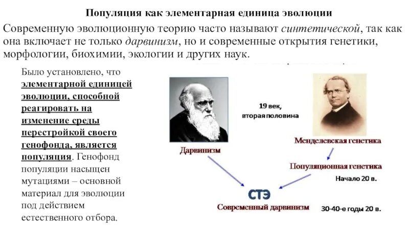 Популяционная и эволюционная генетика. Популяция как элементарная эволюционная единица.