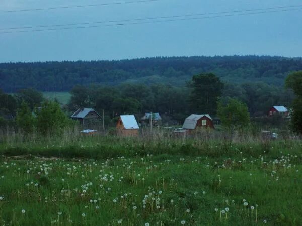 Серенск городище калужская область. Река серена. Погода в деревне серенск. Серенск городище калужская область. Серенск калужская область.
