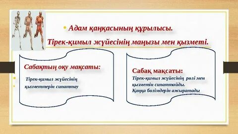 Порно орыс жігіттері блят жігіттер