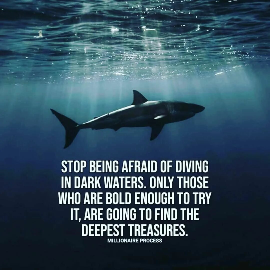 Stop being afraid. Stop being afraid. Stop being afraid. Stop being afraid. What could go wrong.