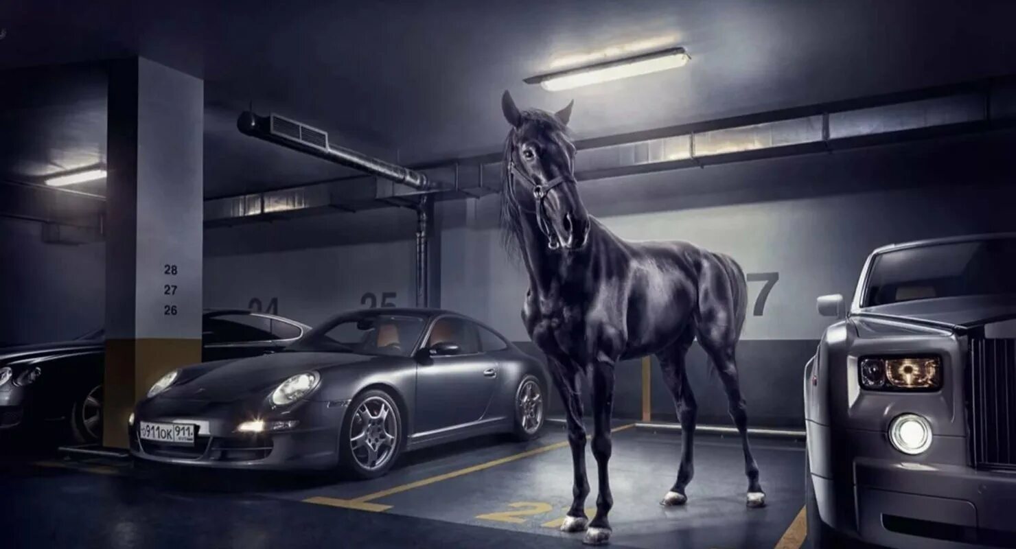 Реклама лошадок. Реклама автомобиля. Реклама на машине. Креативная реклама на авто. Машина с лошадью.
