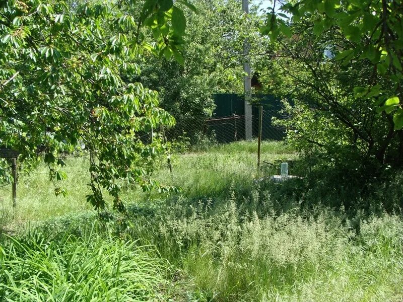 снт задонье ростов на дону. снт донстрой 23 ростов на дону. снт дон строй ростов-на-дону. земля ростов. участок 5сот(ижс) 3.