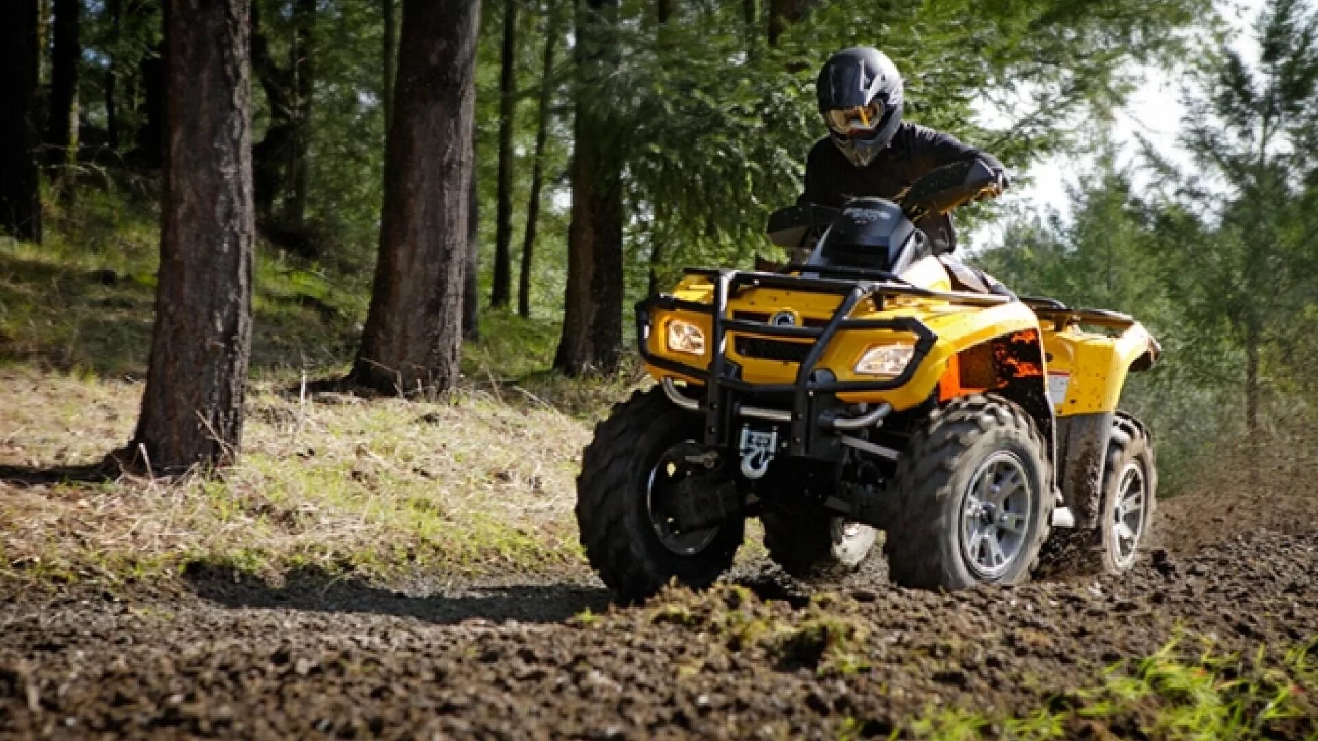 Квадро годы. Стелс 300 квадроцикл. Квадроцикл Polaris Sportsman 1000. Квадроцикл в лесу. Прогулки на квадроциклах.