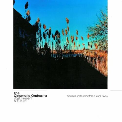 The cinematic orchestra to build a home. The Cinematic Orchestra. Группа the Cinematic Orchestra. The Cinematic Orchestra альбомы. To build a Home the Cinematic Orchestra.