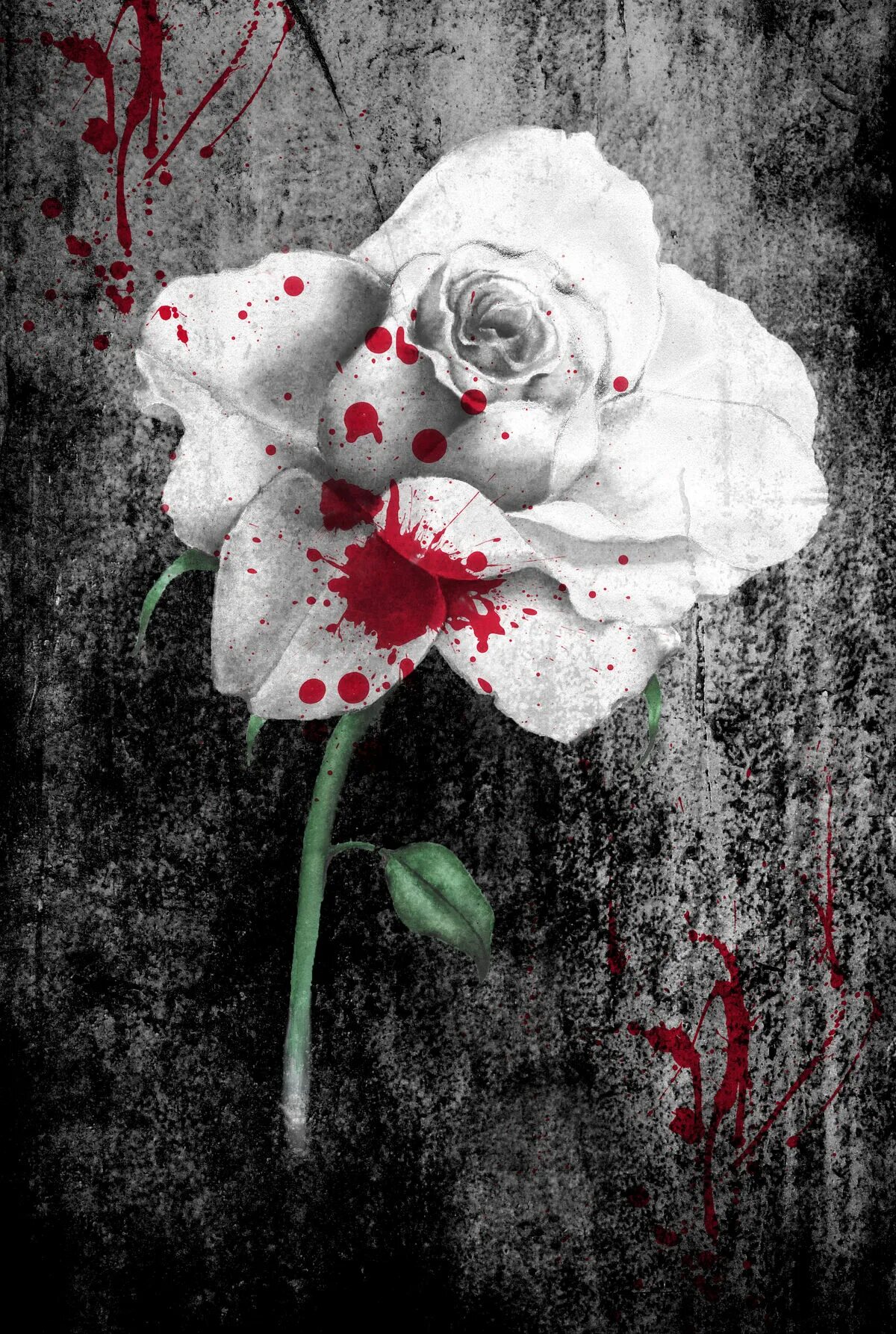 Мертвые цветы. Разбитые цветы