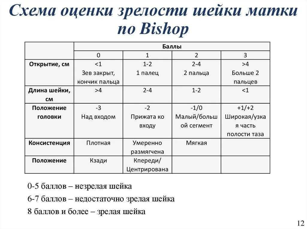 Может ли шейка матки раскрыться. Шкала степени зрелости шейки матки по бишопу. оценка степени зрелости шейки матки по бишопу. зрелость шейки по бишопу. таблица зрелости шейки матки по бишопу.