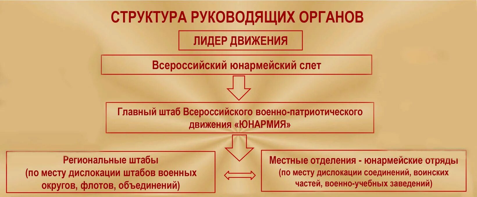 Структура движение. Структура юнармейского отряда. иерархия юнармии. юнармия структура организации. структура юнармии схема.
