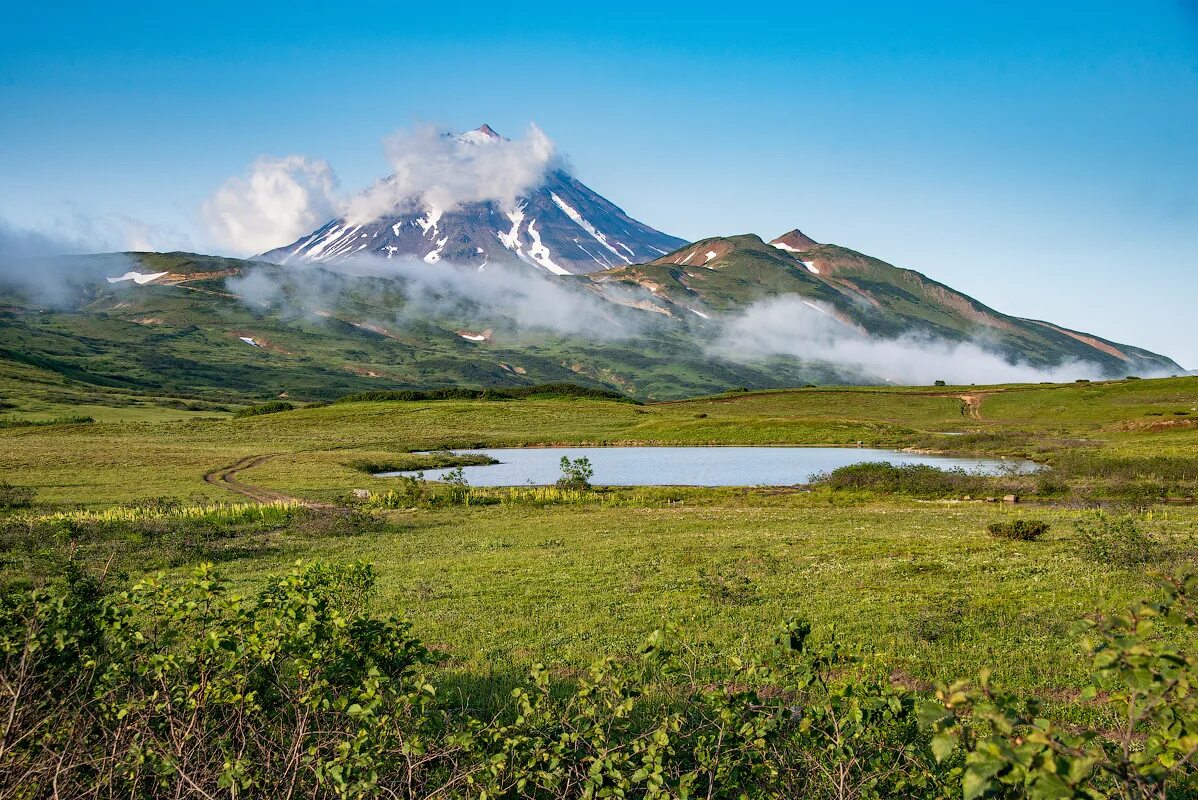 Камчатка красивые фото. Вулканы камчатки природа. авача мэй камчатка. камчатка вулканы лето. долина трех вулканов камчатка.