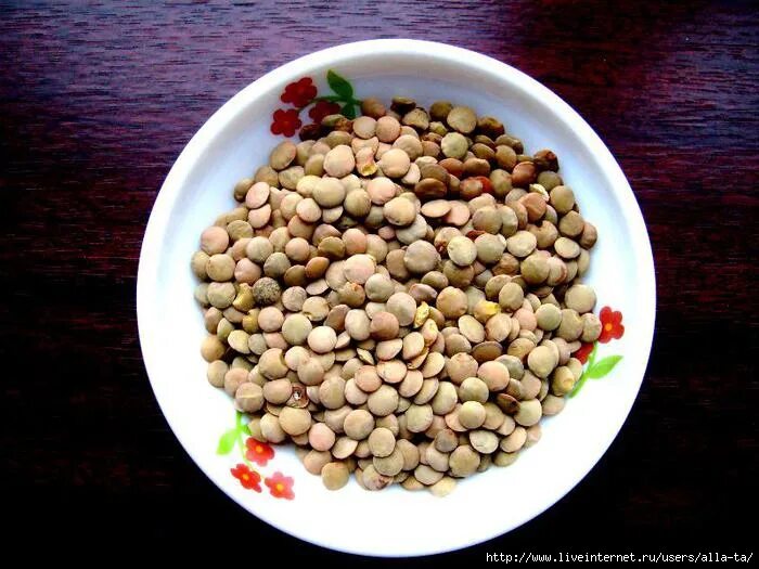 Чечевица канадская. Можно собакам чечевицу. Можно собакам чечевицу. Чечевица цельная. Каша из чечевицы в мультиварке.