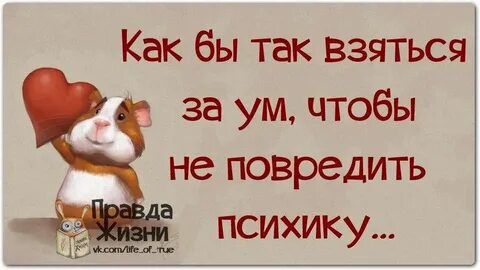 Смешная жизнь сколько