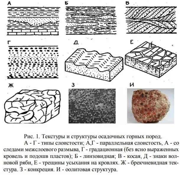 Изменение состава пород. Основные структуры осадочных горных пород. Оолитовая структура горных пород. Структуры и текстуры осадочных горных пород. Пелитовая структура горных пород.