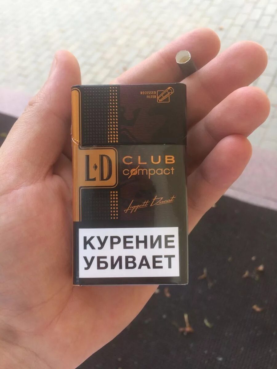 Сигареты ld club compact lounge. Сигареты лд компакт коричневый. Сигареты ld club compact autograph. Сигареты ld autograph club lounge. Лд компакт коричневые.