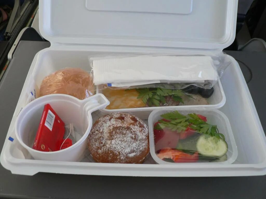 Контейнер для еды в самолете. Еда с собой в самолет. Перекус в самолет. Еда в самолете упаковка. Можно брать продукты в самолет