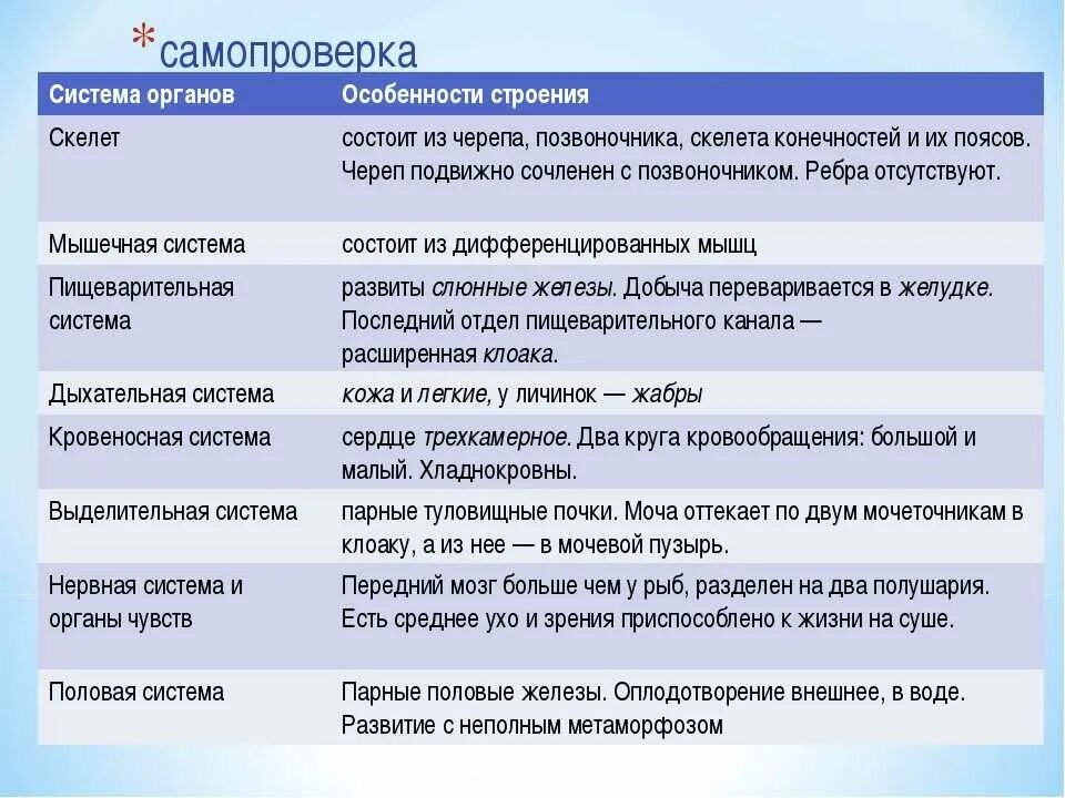 Таблица земноводных 8 класс. Таблица по биологии 7 класс класс земноводные система органов. Таблица по биологии 7 класс системы органов и их функций. Биология 7 класс системы органов и их функции. Таблица по биологии строение и функции систем органов животных.