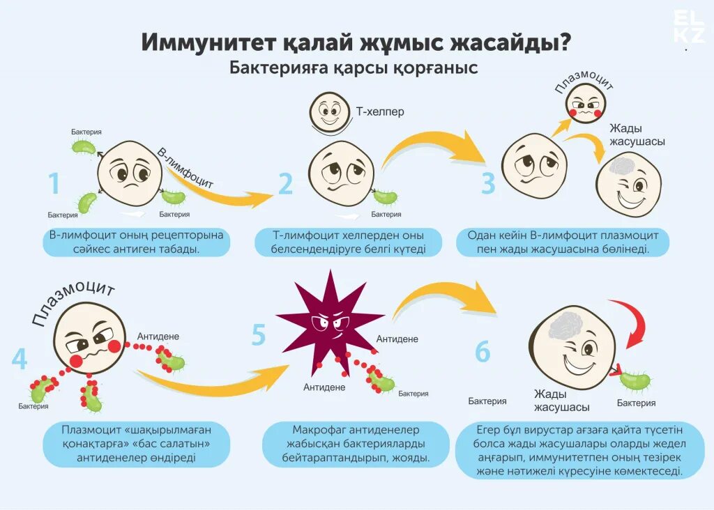 Иммунитет. Снижение клеточного иммунитета. Иммунитет дегеніміз не. Иммунитет доклад. Иммунная система вопросы