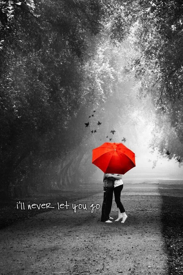 I ll never let you go
