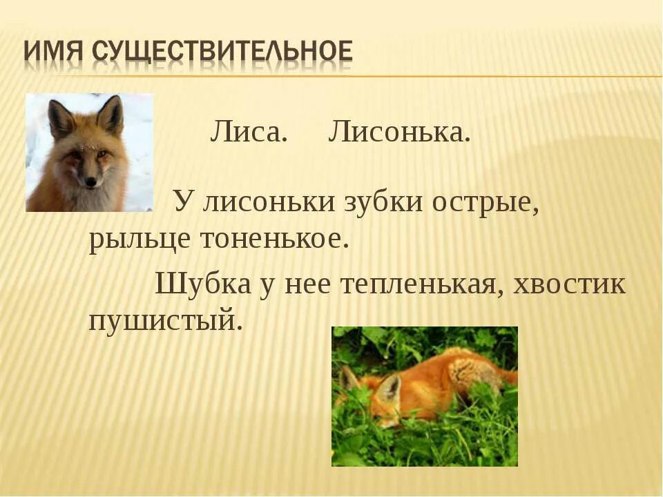 Тату лиса на лопатке. Текст про лису. Лисий значение. Лисий значение. Что рассказать детям про лису.