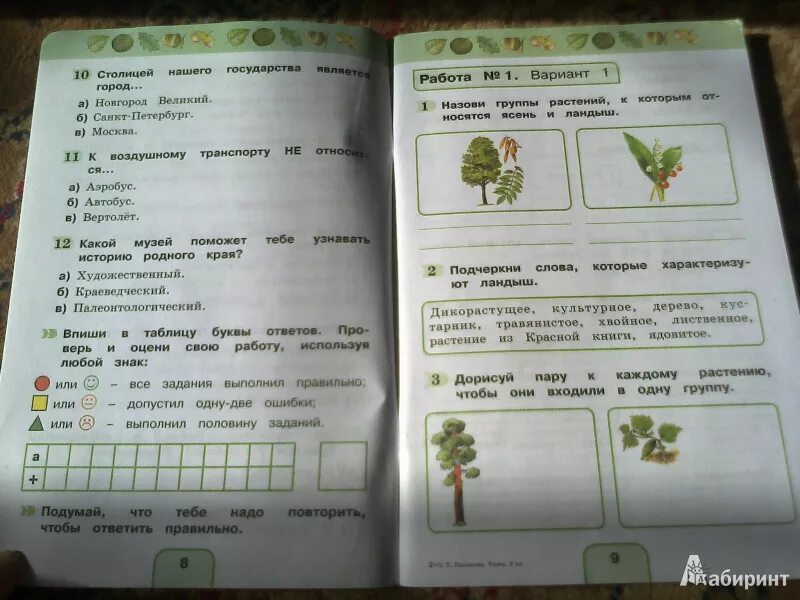 Поглазова окружающий мир 2 класс тесты. Окружающий мир 3 класс тестовые задания Поглазова Шилин ответы. Тестовые задания по окружающему миру 3 класс Поглазова. 3 Класс тестовые задания Поглазова. Тесты окружающий мир поглазова