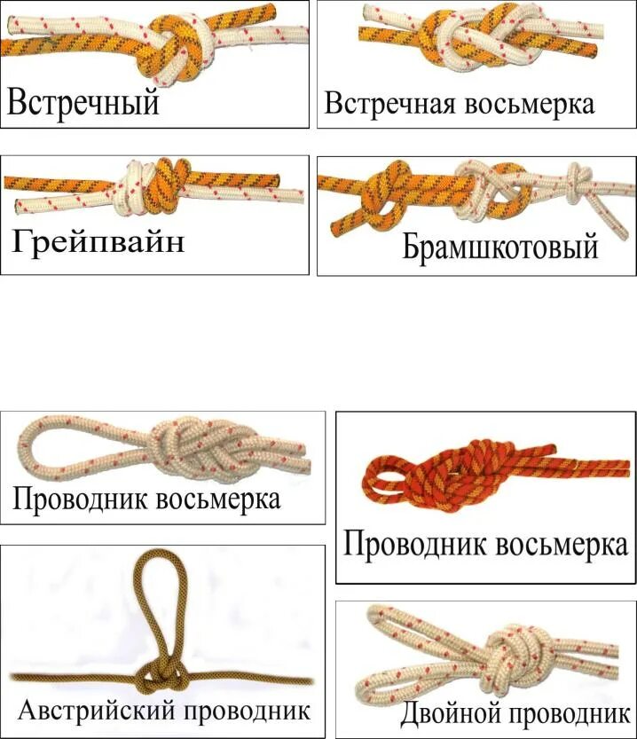 Что значит тип узла