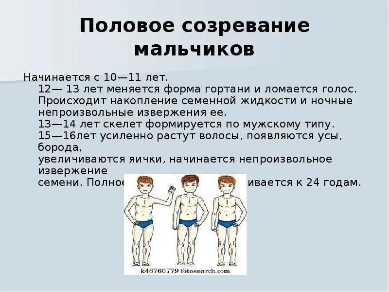 Во сколько лет появляется семя