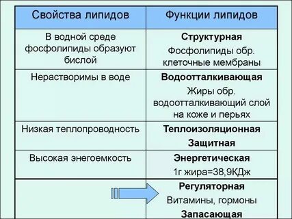 Самостоятельная работа по биологии углеводы и липиды