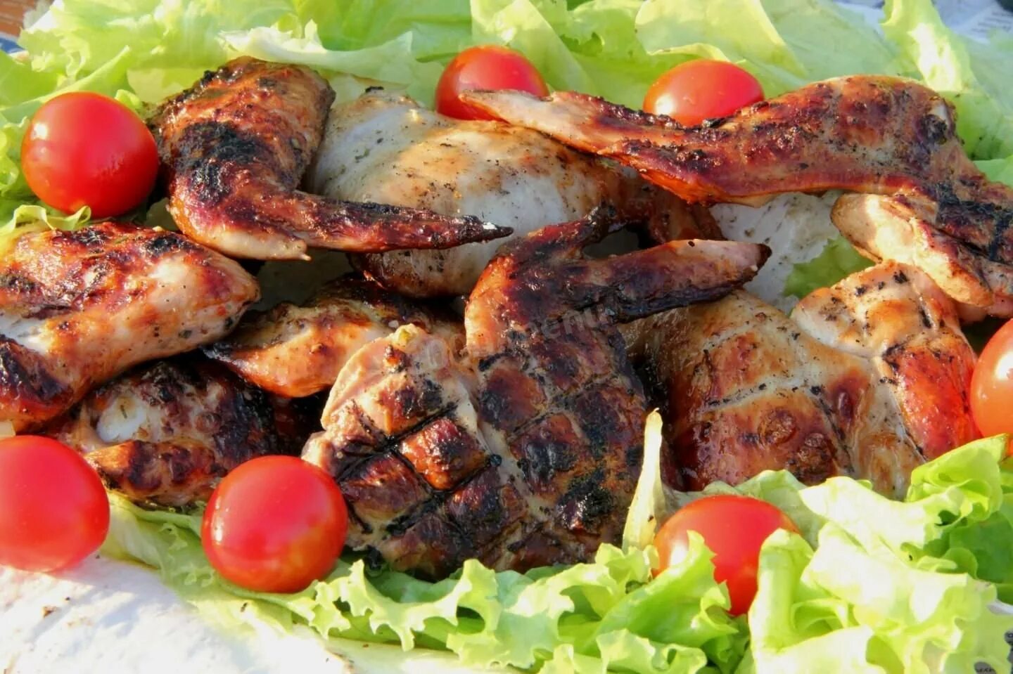 Курица под шашлык. Крылышки на мангале. шашлык на мангале. куриные крылья на мангале. куриные крылышки на мангале.