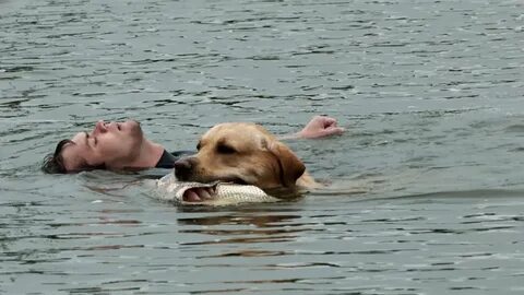 Вода спасла жизнь