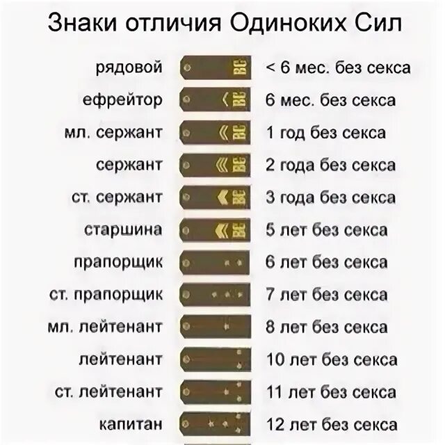 Сокращение сержант. Звания в армии. Звания от рядового до старшего прапорщика. Звания по годам. Звания от рядового до полковника.