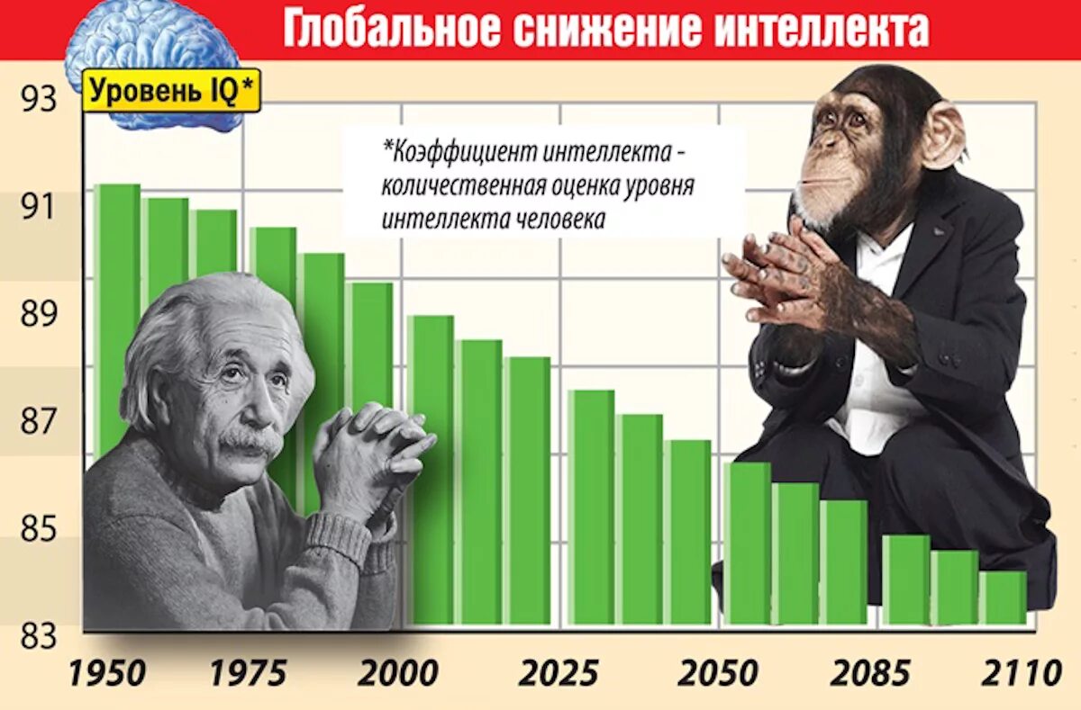 Снижение уровня интеллекта. Уровень IQ. Низкий уровеньинтнлекта. Коэффициент интеллекта IQ.