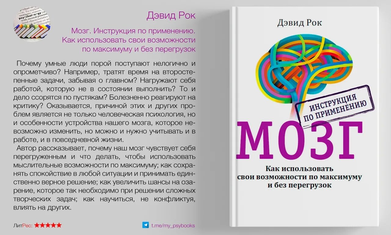 Мозг книга дэвид. Дэвид рок мозг. Мозг инструкция по применению. Книга мозг Дэвид рок. Книга мозг инструкция по применению.