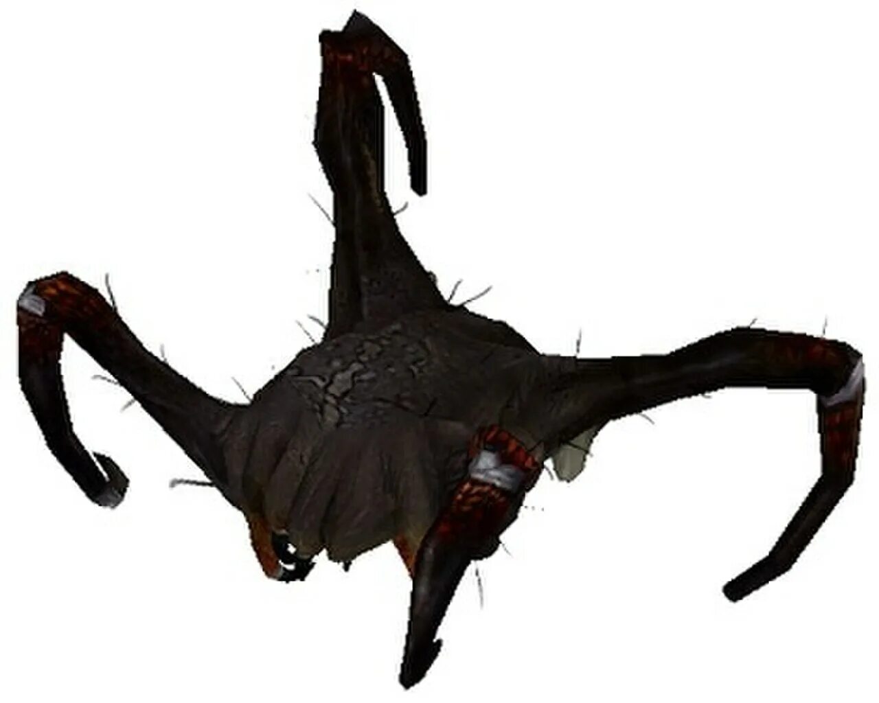 Half life headcrab. Ядовитый Хедкраб half-Life. Ядовитый Хедкраб half-Life 2.