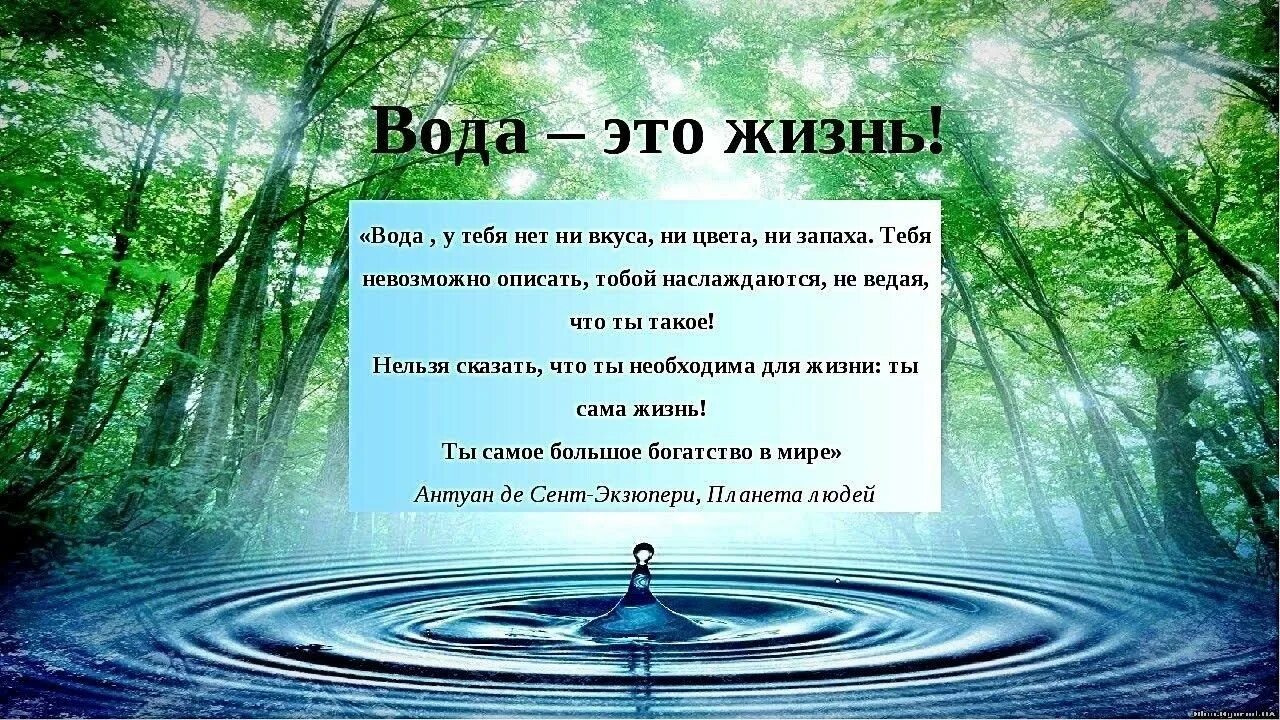 5 высказываний о воде. Вода источник жизни. Вода это жизнь. Тема вода источник жизни. Вода для презентации.