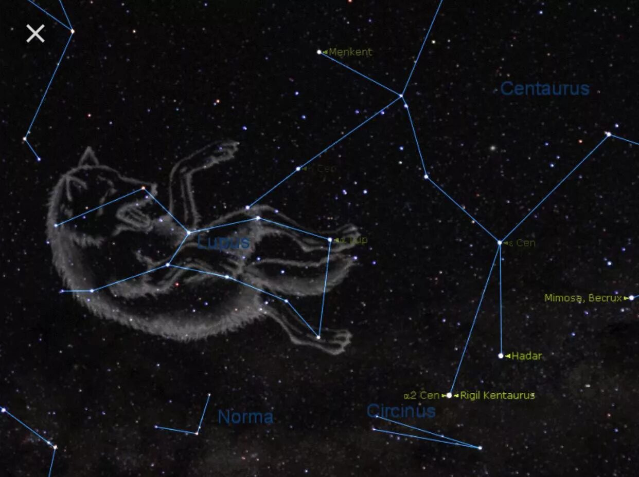 Созвездие зверей. Lupus Созвездие. Созвездие волка на карте звездного неба. Волк (Lupus) созвездия. Самые яркие звезды созвездия волк.