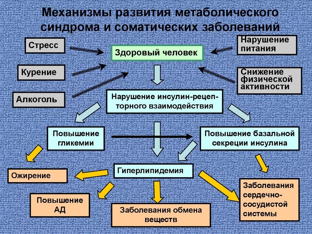 Заболеваний и состояний приводящих к. Причины развития метаболического синдрома. Механизм развития метаболического синдрома. Патогенез метаболического синдрома схема. Причины и механизмы развития метаболического ожирения.