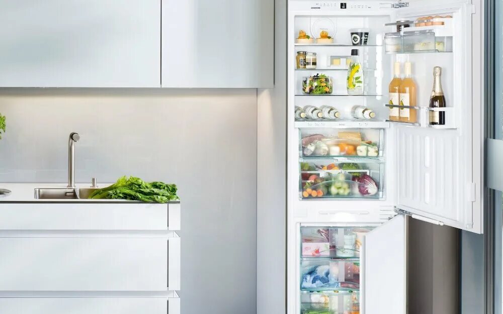 Какие встроенные холодильники лучше